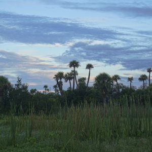 Wetlands Park - 2500px-6.JPG