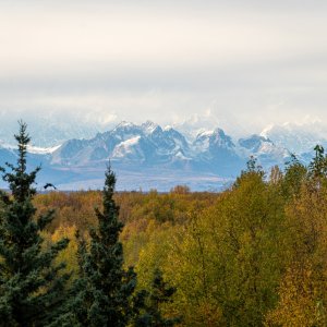 Alaska Range.jpg