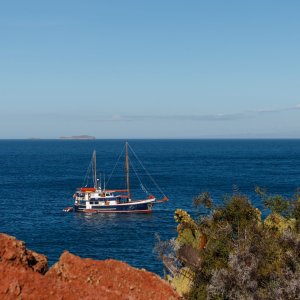 Galapagos_IMG_7198.jpg