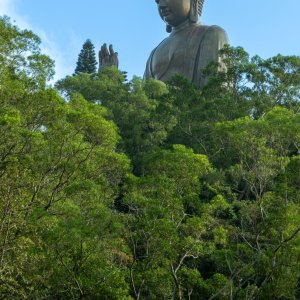 Tian Tan Buddha.jpg