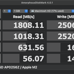 APPLE SSD AP0256Z _ Apple M2.png