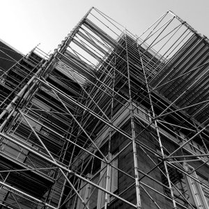 Scaffold_L726.jpg