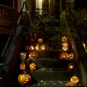 2024-10-31 ~ _R5_6088.jpg