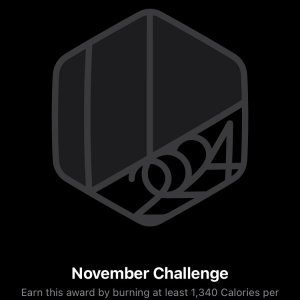 Nov2024Challenege.jpeg