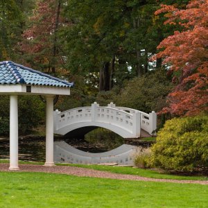 Wickham Park - 2500 px-34.jpg