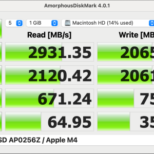 APPLE SSD AP0256Z : Apple M4.png