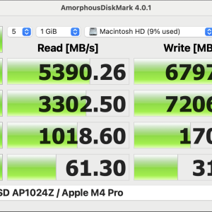 APPLE SSD AP1024Z : Apple M4 Pro.png