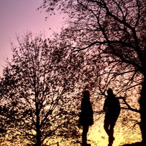 2024-11-26 ~ _R5_3206.jpg