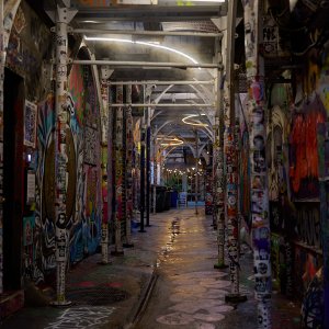 2024-11-28 ~ _R5_3526.jpg