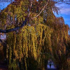 2024-12-01 ~ A7C01222.jpg