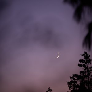 2024-12-03 ~ _R5_4809.jpg