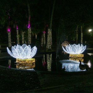 Lake Eola Lights 2024 - 2500px-1.jpg