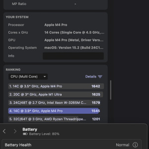 cinebench2024-battery-auto-02.png