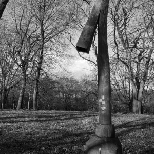 BellahoustonPark20160210BW.jpg