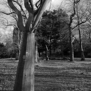 BellahoustonPark20160210BW-2.jpg