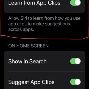 App-Clips_Allow-Siri-to-learn.jpg