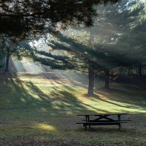 Picnic 4x3 2500px.jpg