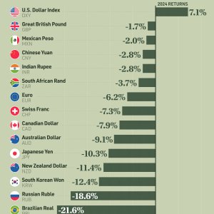 Currencies_Returns_SITE.jpg