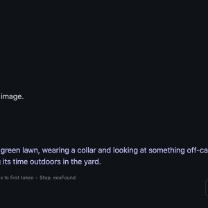 Image 27-01-2025 at 10.30 pm.jpeg