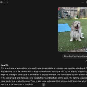 Image 27-01-2025 at 10.27 pm.jpeg