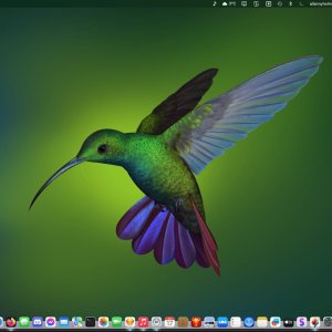 Screenshot 2025-01-24 at 03.15.32.jpeg