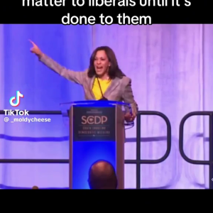 Libs of TikTok on X- 'Holy shlit. Is everyone who voted for Harris-Walz a Nazi supporter... ht...mp4