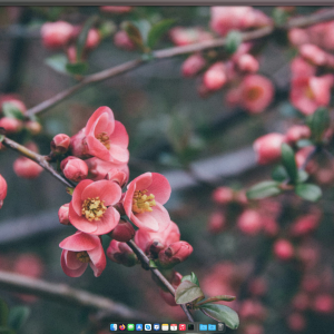 Screenshot 2025-02-01 at 00.00.09.png