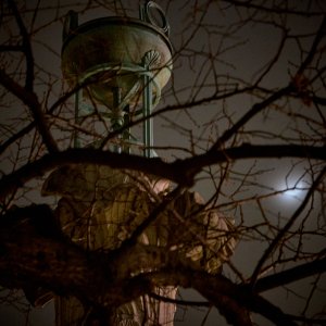 2025-02-03 ~ _R5_6735.jpg