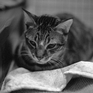 黑白負片157（Ilford XP2@400, Nikon F4） - 1 of 1.jpeg