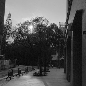 黑白負片157（Ilford XP2@400, Nikon F4） - 1 of 1 (1).jpeg