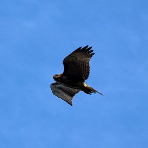 2025-02-07 ~ _R5_7818.jpg