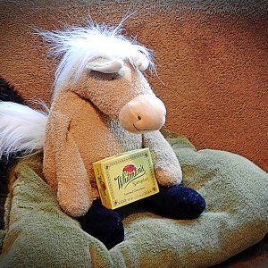 Kusa Musa V-Day 2 x3v.jpg