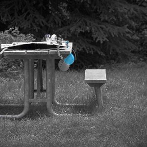 deadbirthday - 1.jpeg