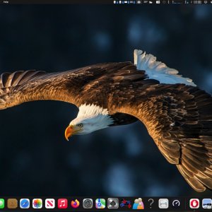 2025-02-13 13.42.50.jpeg