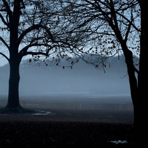 2025-02-16 ~ _IMG4037.jpg