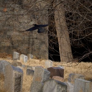 2025-02-19 ~ _R5_0683.jpeg