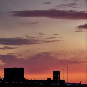 2025-02-19 ~ _R5_0759.jpg