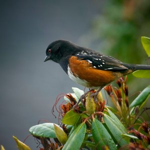 POTD February - 1 (1)_a.jpeg