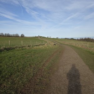 20250301_092346.jpg