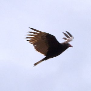 2025-03-01 ~ _R5_3133.jpg