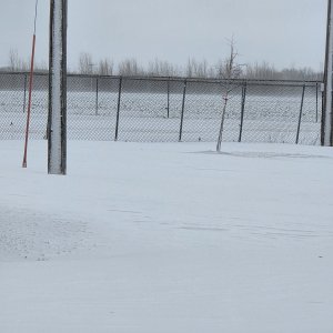20250305_140727.jpg