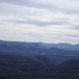 20250305_143010.jpg