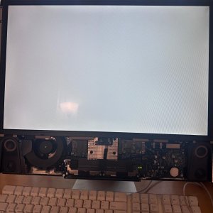 Imagen de WhatsApp 2025-03-10 a las 09.49.13_55e4da02.jpg