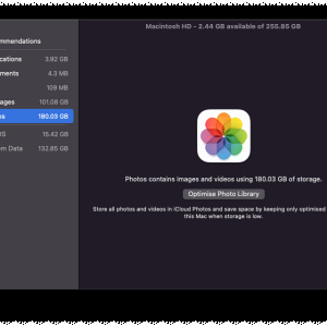 Screen Shot 2025-03-11 at 10.01.31 am.png