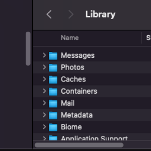 Screen Shot 2025-03-12 at 12.59.06 pm.png