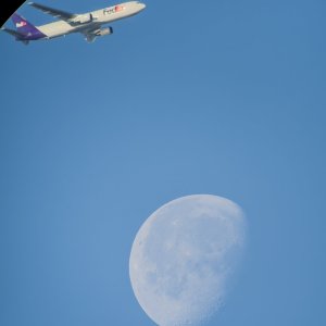 Fedex Moom -.jpg
