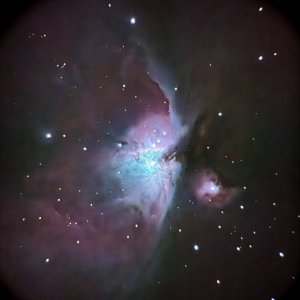 IMG_3133.jpeg