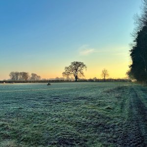 IMG_1207.jpeg