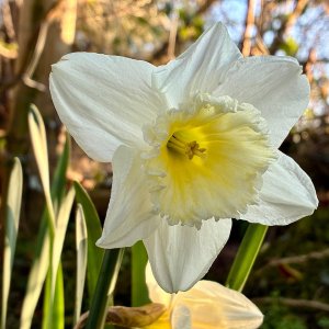 IMG_1251.jpeg