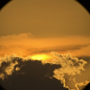IMG_4328.jpg
